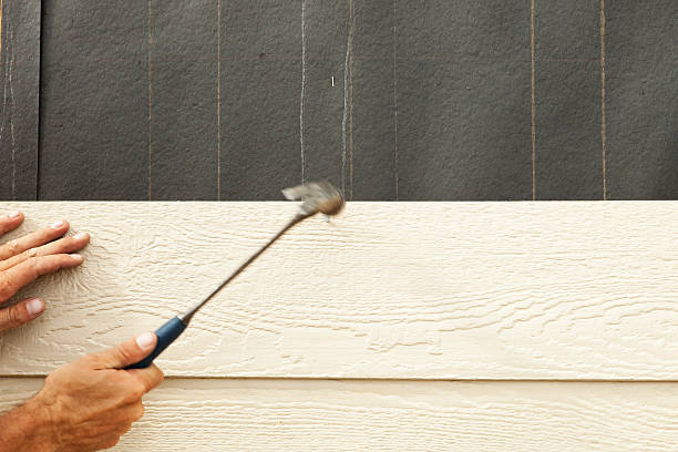 Affordable Siding Repair and Maintenance Services in Tanque Verde, AZ